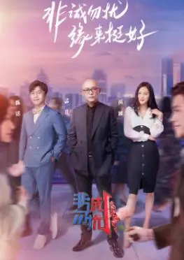 《非诚勿扰》：冯小刚式爱情喜剧，都市男女的情感纠葛