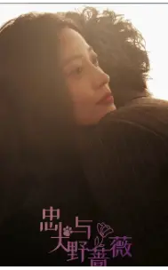 《忠犬与野蔷薇》：跨越物种的情感奇遇，野性与忠诚的深情碰撞