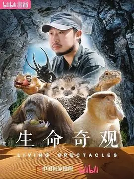 《生命奇观》：从卑微泥沼到璀璨星河，见证凡人逆袭的生命史诗